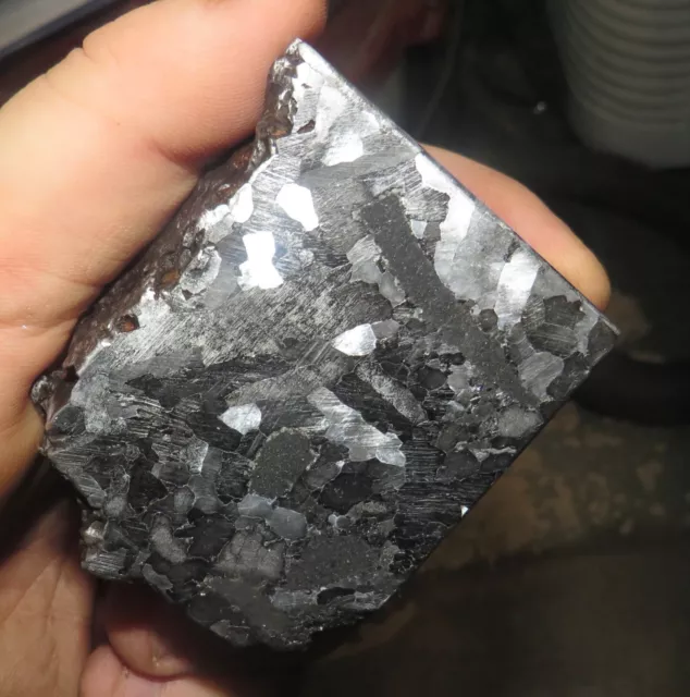 Beautiful 562 Gm. Etched Campo Del Cielo Meteorite Quad Cut