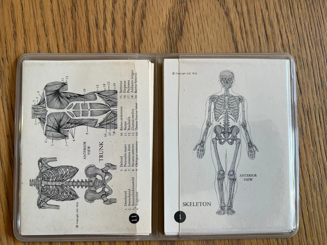 RARE Set Of 1976 USA Anatomical 20 Study Cards