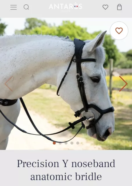 Antarès Anatomic bridle