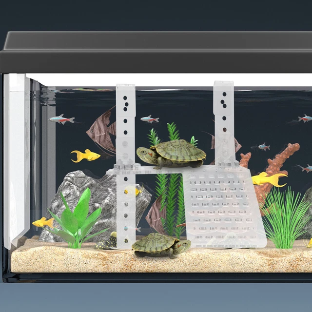 Piattaforma Per Tartarughe Acquatiche Con Ventosa - Area Soleggio E Alimentazione Per Acquario - Foto 11