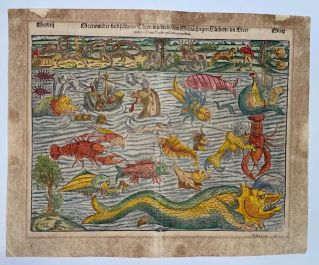 Sea Monster Chart 1598 Sebastian Munster Large Unusual Antique Map 16Th Century