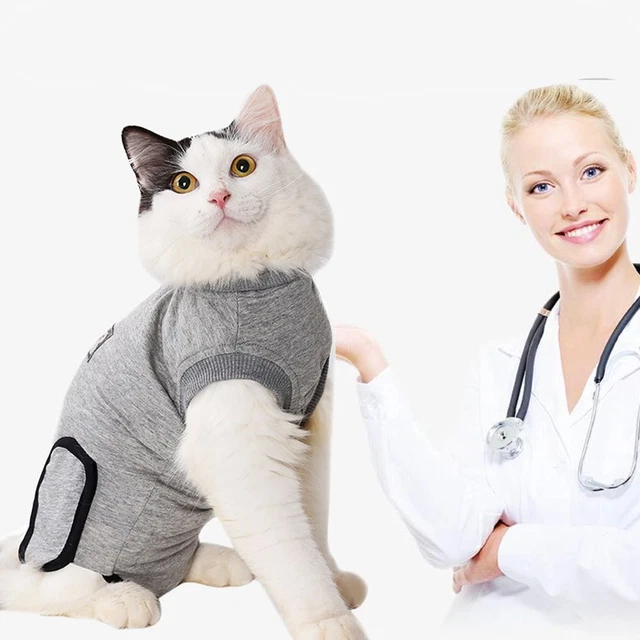 pour animaux de compagnie Récupération de la chirurgie Soins pour les plaies
