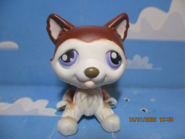 Figurine Pet Shop Chien Yorkshire N°227 Avec Mèche De Cheveux Et Aimant Rose - Occasion