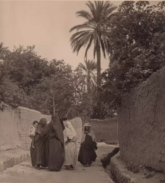 30x24 - ALGERIE Phot. Jean Morin/Alger 1950 -LAGHOUAT- Vintage argentic print