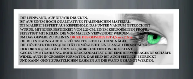 TIME4BILD Alfons MUCHA Plakatkünstler 6 BILDER LEINWAND GICLEE Art nouveau 3