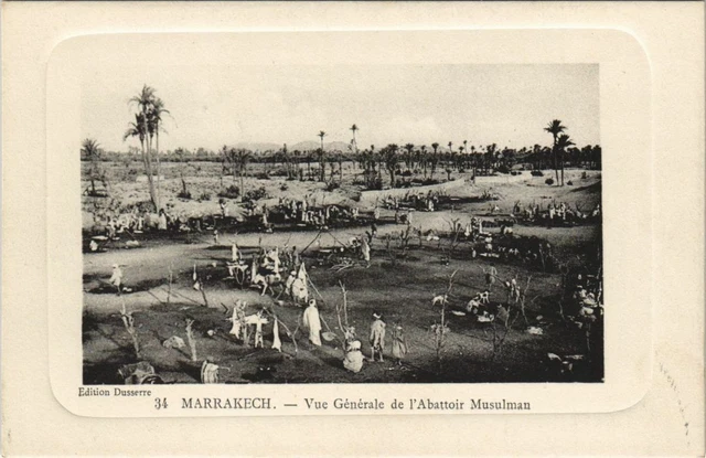 CPA AK MARRAKECH General View (10538)