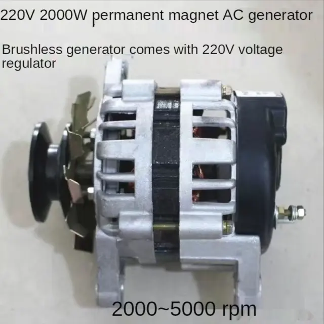 800W 1300W 2000W CA imán permanente sin escobillas generador de alta potencia 220V