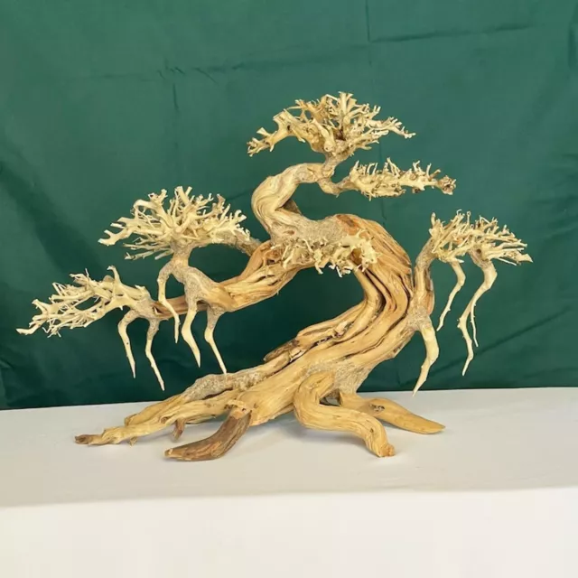 Aquarium Bonsai Driftwood Tree Fish Tank Ornaments Landscaping Aquascape Decor