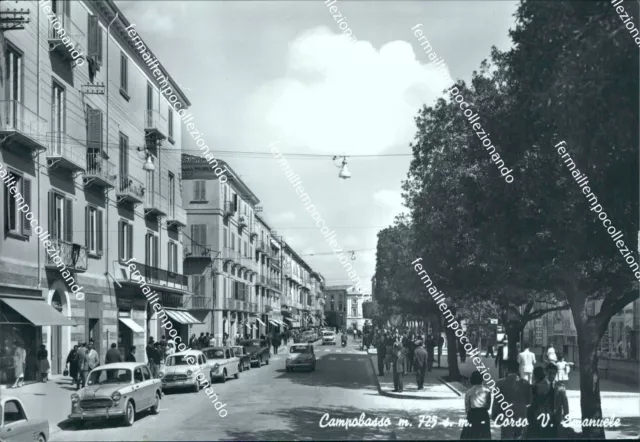 cl402 cartolina campobasso citta' corso vittorio emanuele molise