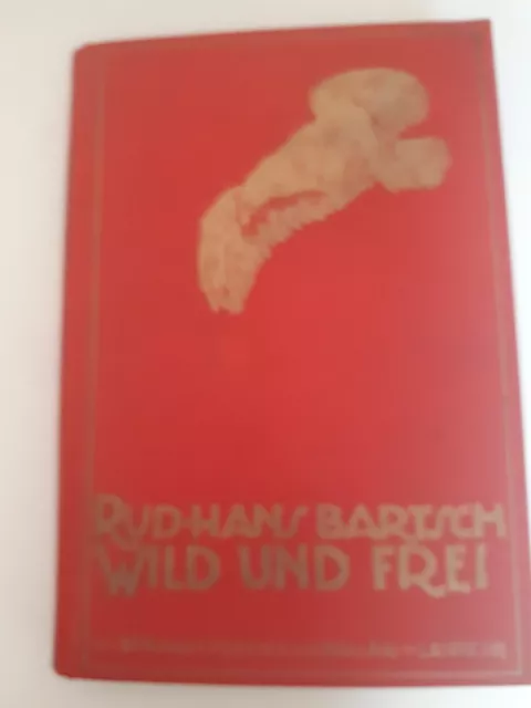 WILD und FREI-Rudolf Hans Bartsch-L. Staackmann-Verlag Leipzig-1929-212 Seiten