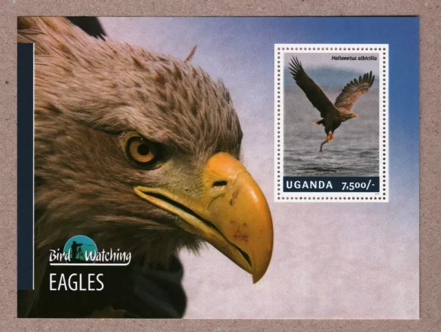 Uganda 2014 Stamps Sheet Bird Watching Eagles MNH #14895