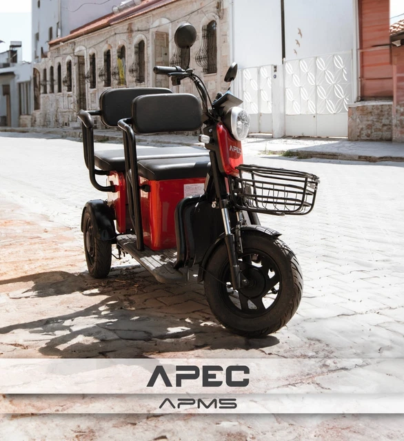 SENIORENFAHRZEUG ELEKTRO SCOOTER Trike Dreirad Seniorenmobil 3 Rad 25 ...
