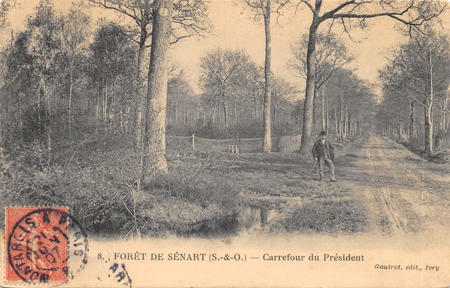 91-Foret De Senart-Carrefour Du President-Animee-N�6025-F/0079