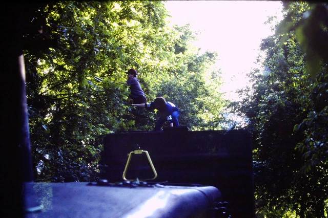 Kodachrome Original Slide West Shore Railroad Track Clearing (1985) #CC1814