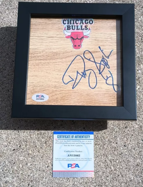 BULLS Dickey Simpkins SIGNED & FRAMED Floor PSA COA CHICAGO