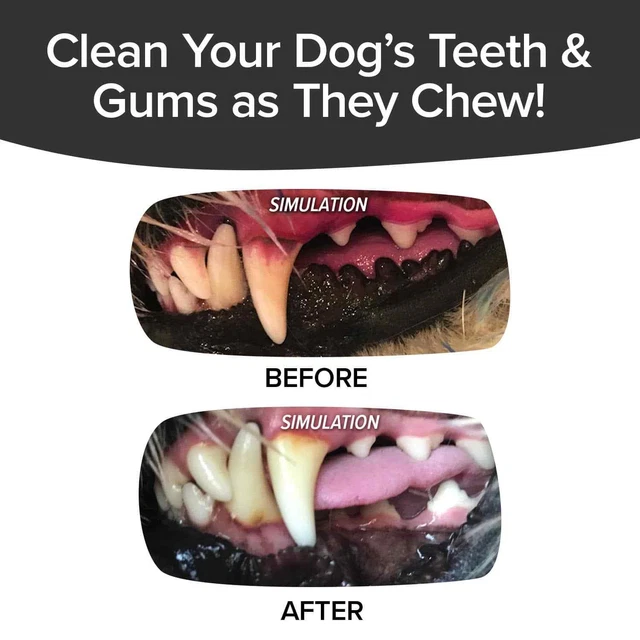 As Seen On TV BrushBone Dog Toothbrush, Brush Their Teeth While Chewing, 6 Pack 3