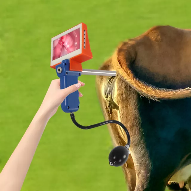 Visual Insemination Gun for Cows Cattle Artificial Insemination Kit HD Screen US