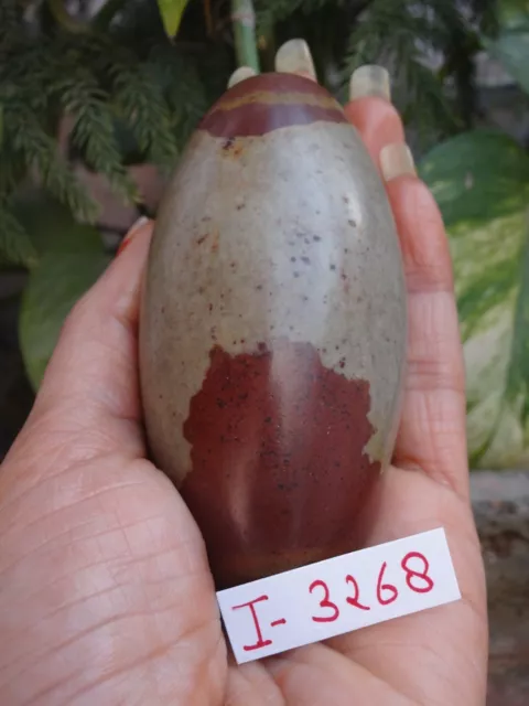 3.5" Shiva Lingam Stone Narmada River India Gorgeous Pure Rare Lingham~I-3268