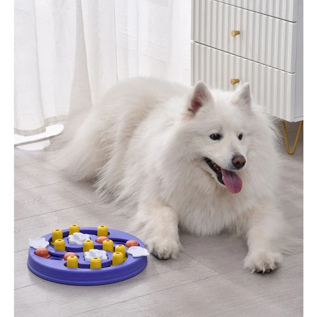 pour animaux de compagnie L'éducation des animaux de compagnie Chien Maze Jouet
