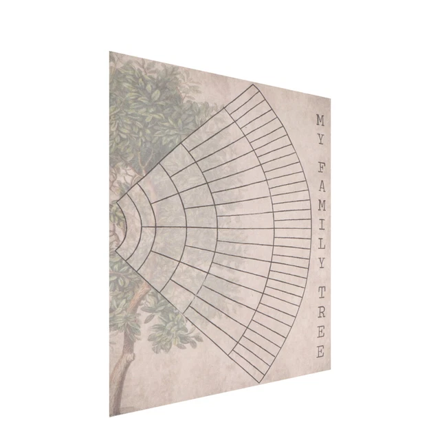 GENEALOGY FAMILY CHARTS Tree Wall Decor Diagram Earth Tones £7.55 ...