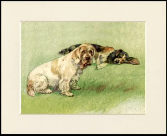 Clumber And Cocker Spaniel Vintage Style Dog Art Print Mounted Ready To Frame