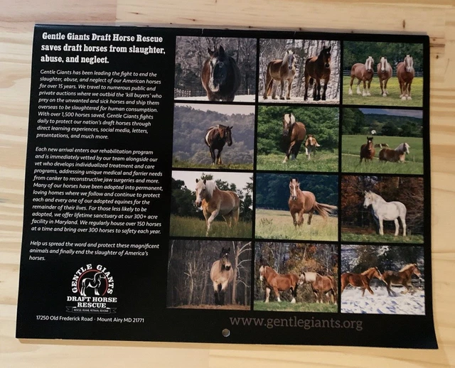 GENTLE GIANTS DRAFT Horse Rescue 2024 Calendar NEW 4.00 PicClick