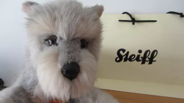 Steiff Tessie 2884/30 Hund Dog ca 42cm Grau Stofftier Plüsch Schnautzer