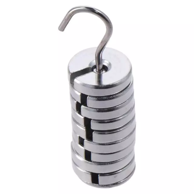 10g Each Metal Slotted Weights Total 100g with Hanger and Case  Laboratory