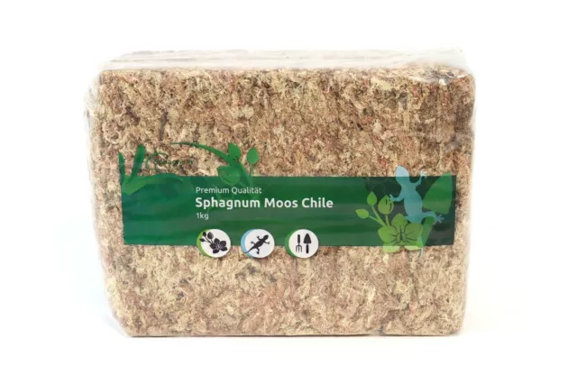 (28,95€ / kg) Sphagnum Moos 1000 g Torfmoos, Dekomoos, PREMIUM Qualität, Chile