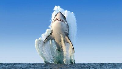 Great White Shark - Decor Large Wall Art Canvas Framed Picture 20X30 Inches