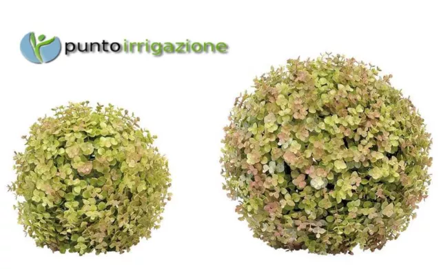 Sfera di eucalipto Verde Color VERDEMAX effetto naturale diametro 33 cm per vasi