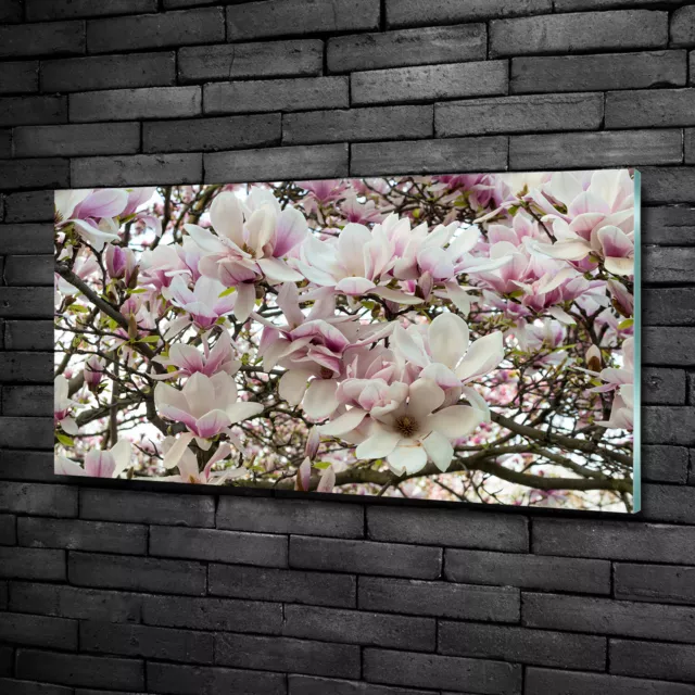 Wandbild aus Plexiglas® Druck auf Acryl 100x50 Blumen & Pflanzen Magnolie Blumen