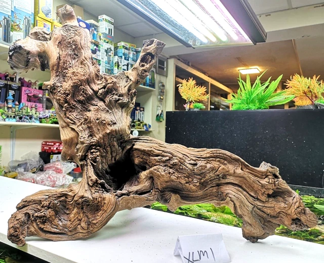 JUMBO MOPANI EXTRA Large AQUARIUM Vivarium AQUASCAPING bogwood £89.99