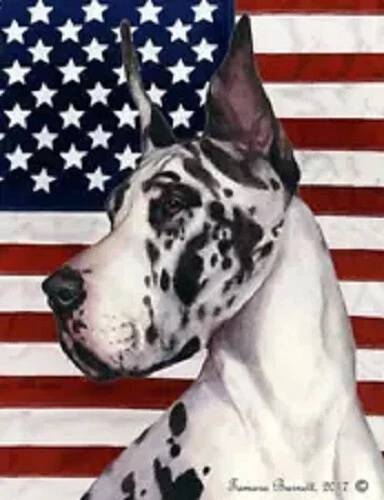 Patriotic (D2) House Flag - Harlequin Great Dane