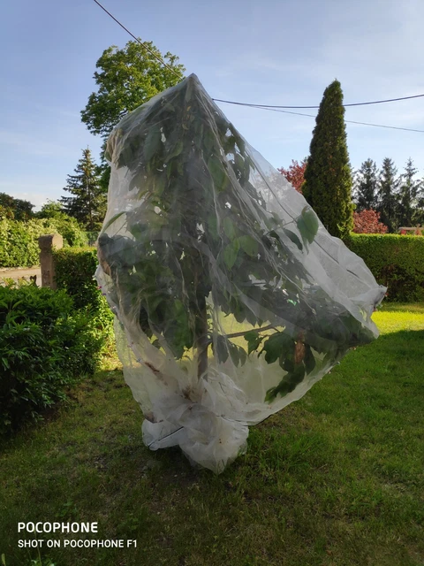 2,5m breit Insektenschutznetz, Kulturschutznetz, Maschenweite 0,8 mm,Kohlfliege