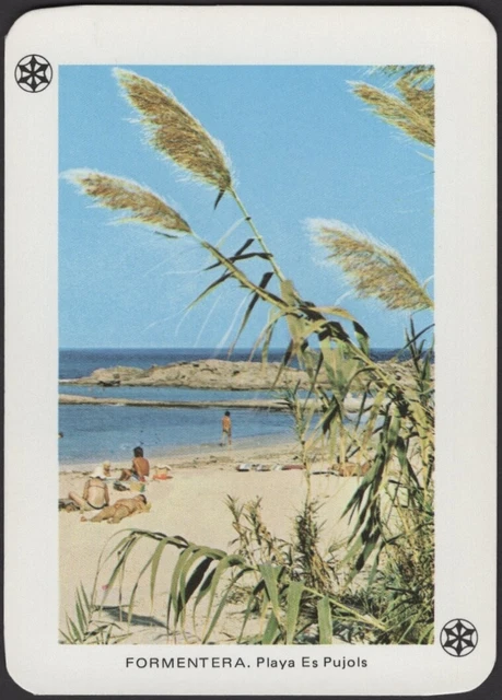 Playing Cards JOKER Single Card Old Wide * FORMENTERA BEACH * Scenic Spain Photo