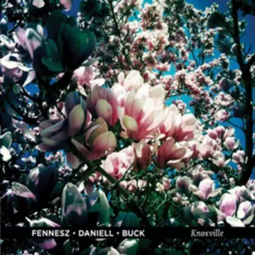 Fennesz/Deniell/Buck Knoxville (CD) Album (US IMPORT)