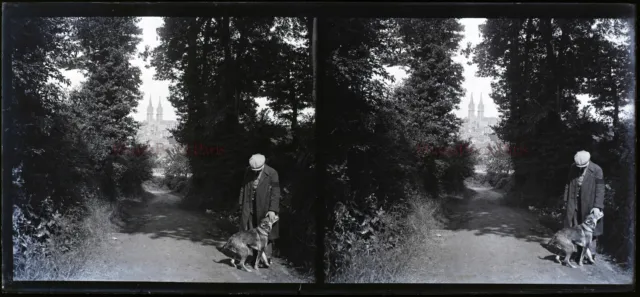 FRANCE Men in Chien Wood c1910 NEGATIVE PHOTO Stereo Glass Plate VR2  