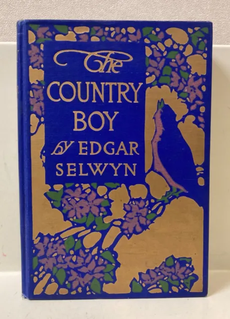 1911 Country Boy Antique Book purple gold beautiful cover vintage bird floral
