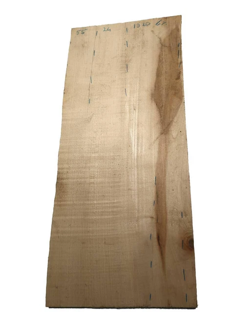 Riegelahorn Bois Geriegelt Bois de Résonnance Curly 55x24cm x 19-20mm
