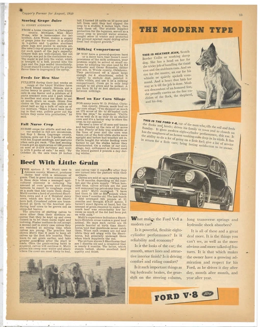 1940 Ford V-8 Automobile Ad: Heather Jean, the Scotch Border Collie Dog Feature
