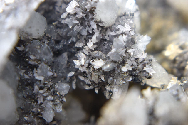 Fülöppit, Quarz, Scwarze Calcit aus Herja Mine, Maramures Rumänien 15x8,5x7cm