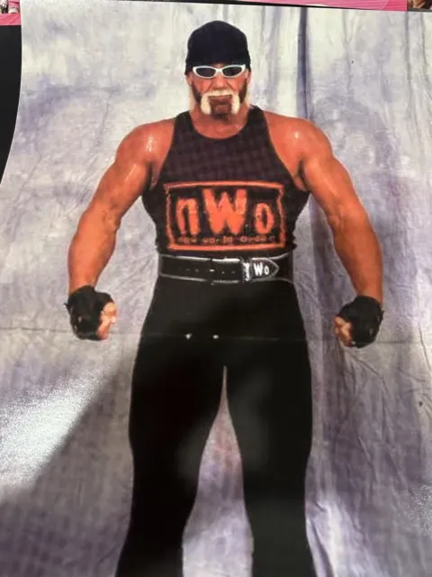 16X20 NWO POSTER Hollywood Hulk Hogan New World Order Wolfpack Red and ...