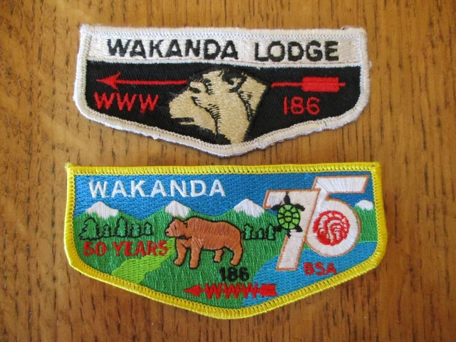 Boy Scout OA Wakanda Lodge 186 F2 & S13 Flaps Steuben Area Council, NY
