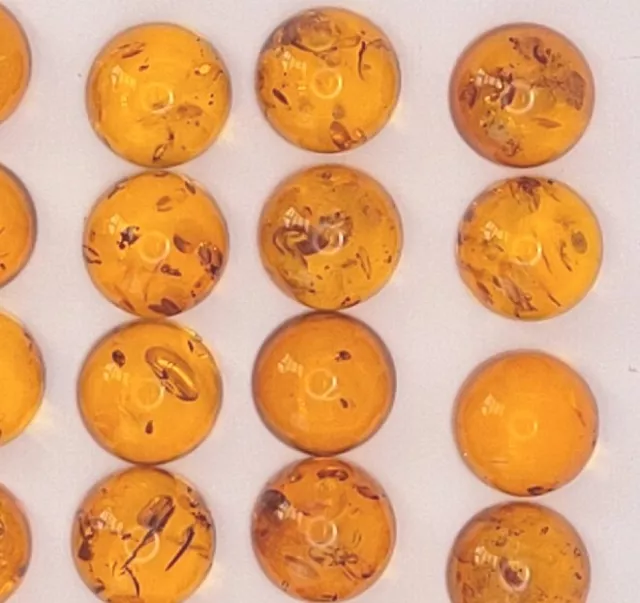 Baltic Amber Cabochon, Natural, 10mm round, light cognac Genuine not pressed.