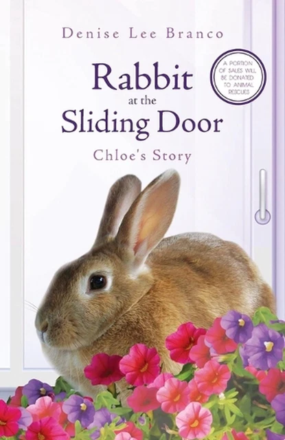 RABBIT AT THE Sliding Door: Chloe's Story by Denise Lee Branco ...