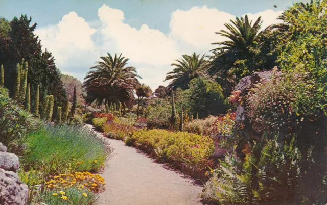 PC68305 Tresco Gardens. Scilly. F. E. Gibson. 1971