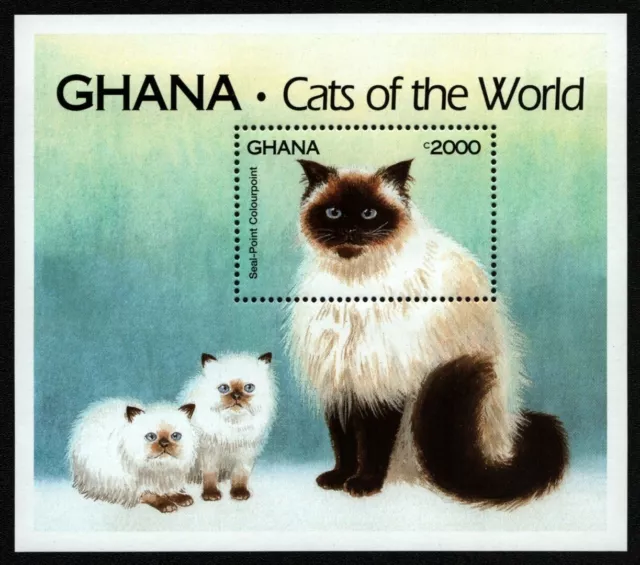 Ghana 1994 - Mi-Nr. Block 250 ** - MNH - Katzen / Cats