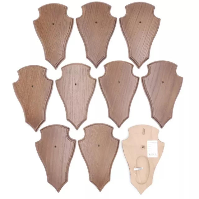 10 Pieza Ciervo Escudo de Trofeo Deseada Pequeño Braun Af 19CM X 11CM Con 1 Kf