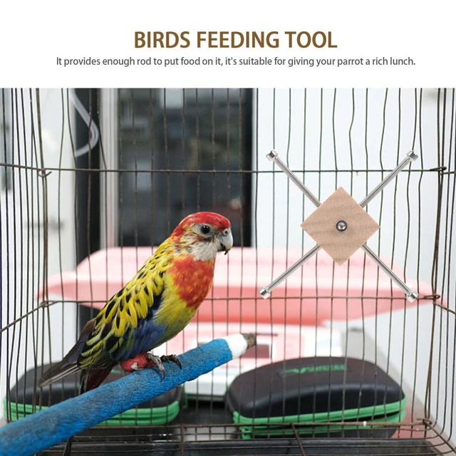 2x Vogel Futtersuche Spielzeug Papagei Obst Gabel Sittich Feeder 3